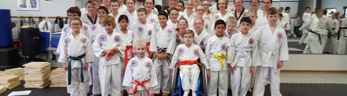 Sun Yi's Traditional Taekwondo Academy